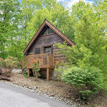 Cozy Cabin! Hot Tub, King Bed, Fireplace, & Pool Gatlinburg Dış mekan fotoğraf